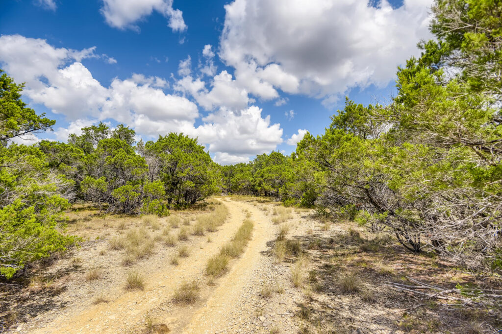 9200 McMeans Trail Austin TX-large-012-012-Views-1500x1000-72dpi